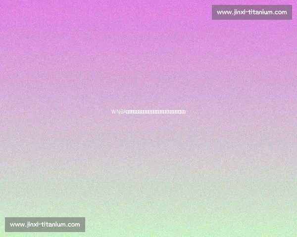WNBA焦点对决:梦想队迎战太阳队谁能笑到最后的精彩解析 WNBA焦点对决:梦想队迎战太阳队谁能笑到最后的精彩解析